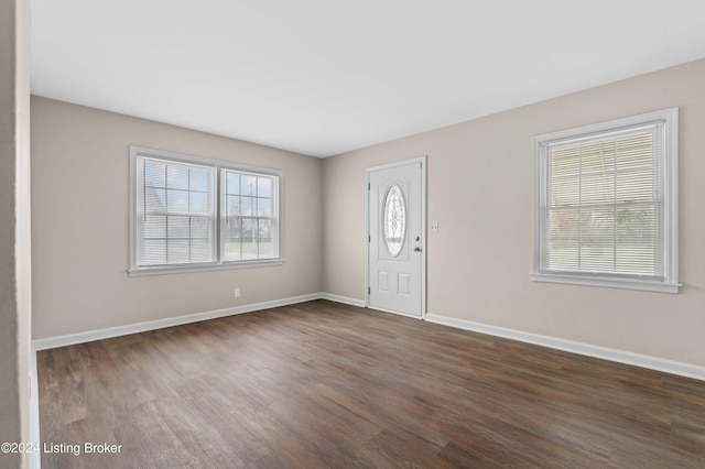 foyer featuring dark wood-type flooring