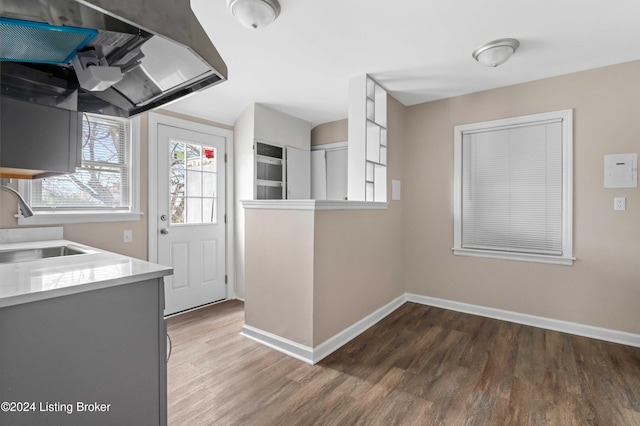 kitchen featuring hardwood / wood-style floors, gray cabinets, and sink