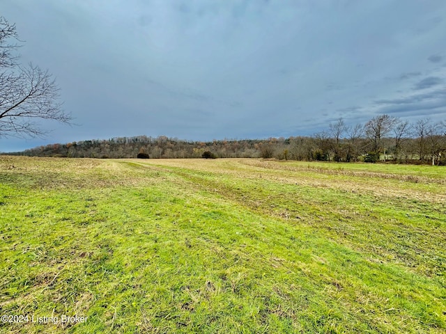 2 Grundy Home Rd, Springfield KY, 40069 land for sale