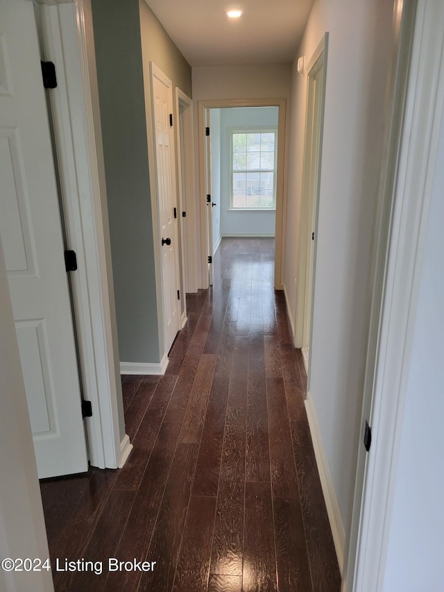 hallway with dark wood-type flooring