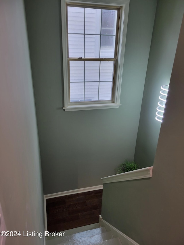 staircase with hardwood / wood-style floors