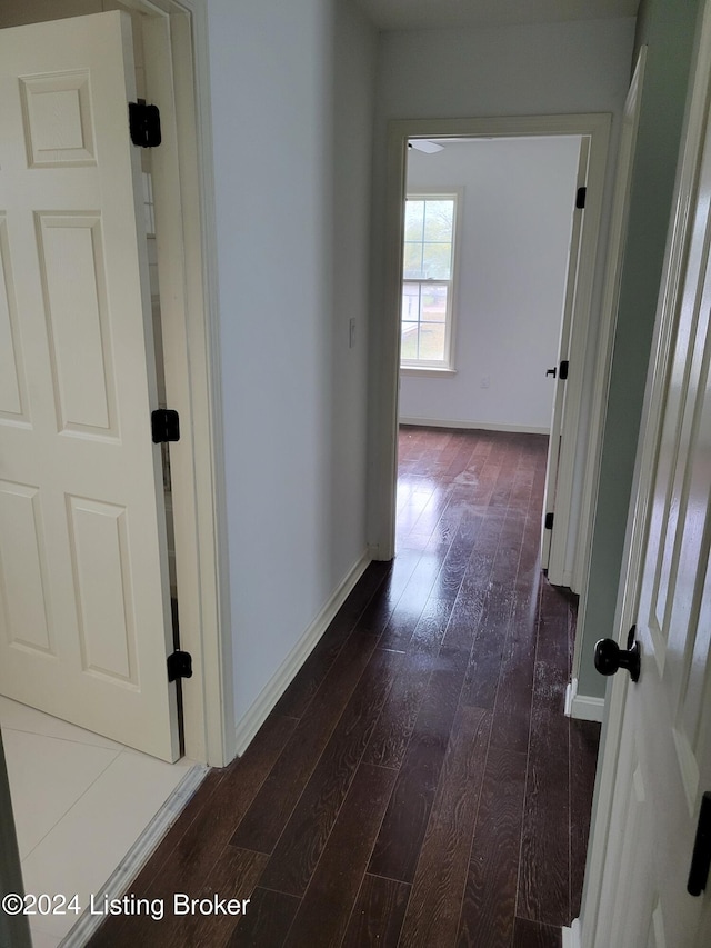 corridor with dark wood-type flooring