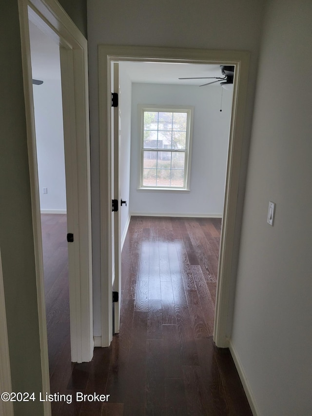 corridor with dark hardwood / wood-style floors