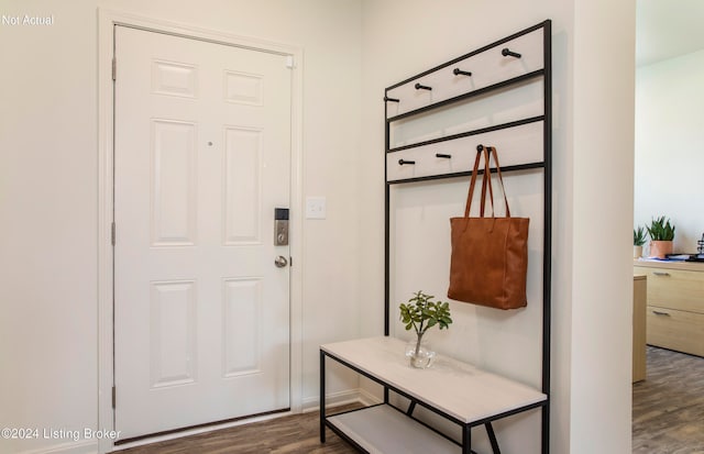 mudroom with dark hardwood / wood-style flooring