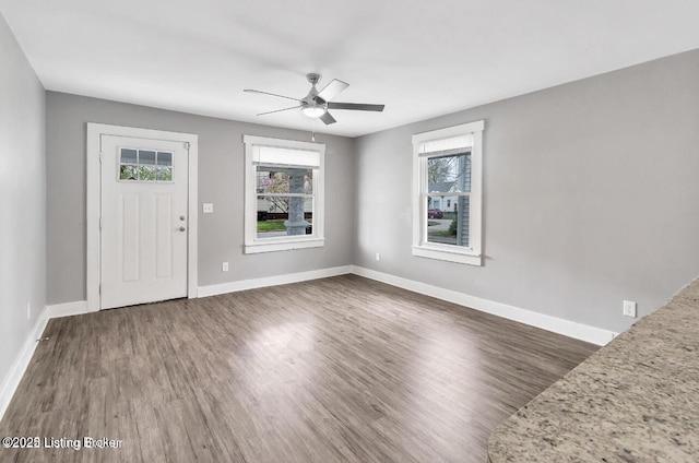 entryway featuring ceiling fan, plenty of natural light, and dark hardwood / wood-style floors