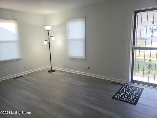 entryway featuring dark hardwood / wood-style floors and a wealth of natural light