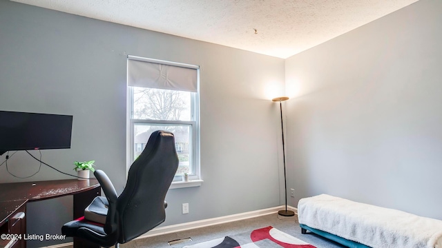 carpeted office space with a textured ceiling