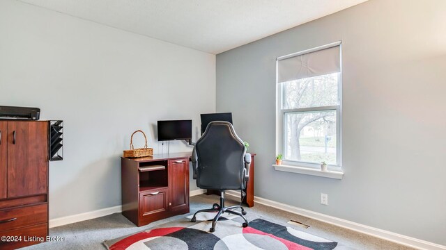 view of carpeted office space