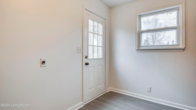 entryway featuring dark hardwood / wood-style flooring