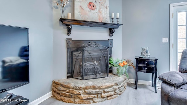 interior details featuring a stone fireplace and hardwood / wood-style flooring