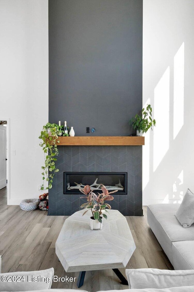 living room with a tiled fireplace and wood-type flooring