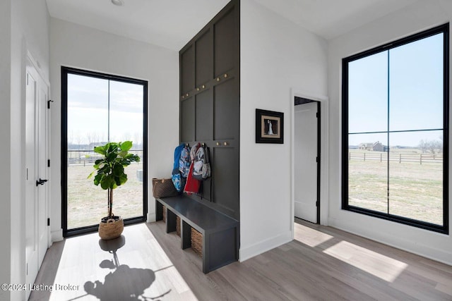 mudroom featuring plenty of natural light and light hardwood / wood-style flooring