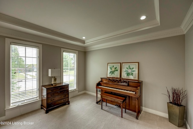 miscellaneous room with light colored carpet, crown molding, and a tray ceiling