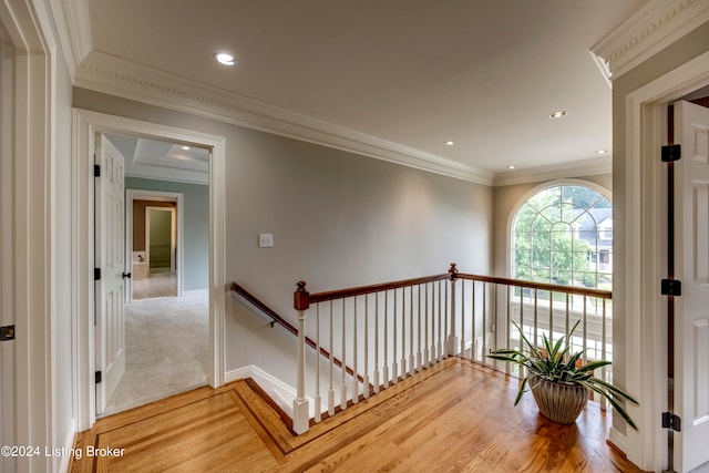 corridor featuring wood-type flooring and crown molding