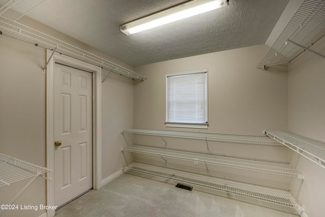 spacious closet with light colored carpet