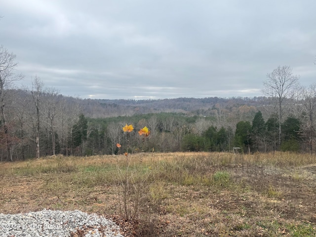 19451895 Broad Ford Rd, Munfordville KY, 42765 land for sale