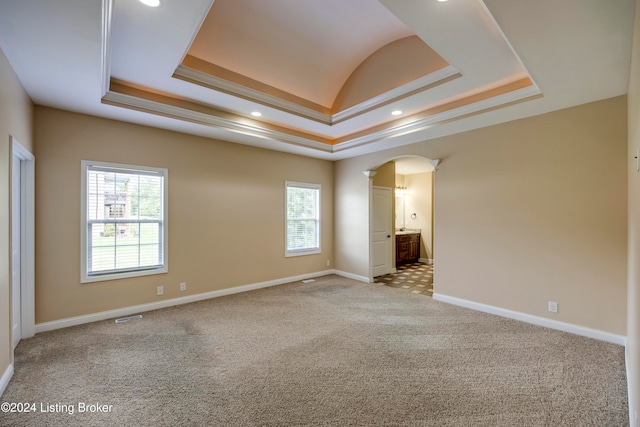 unfurnished room with a raised ceiling and a wealth of natural light