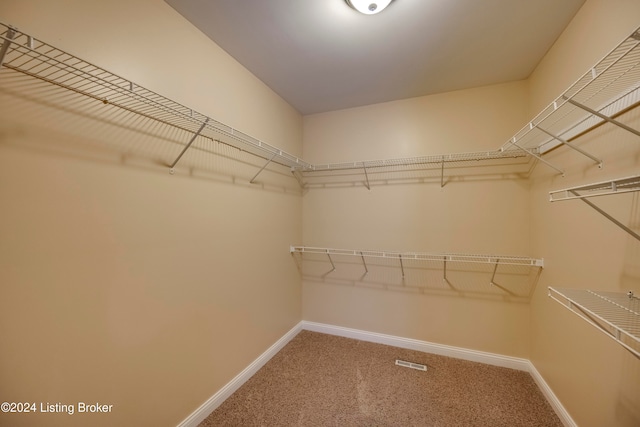 walk in closet with carpet floors