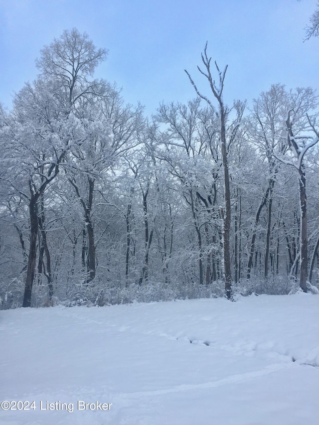 view of snowy view