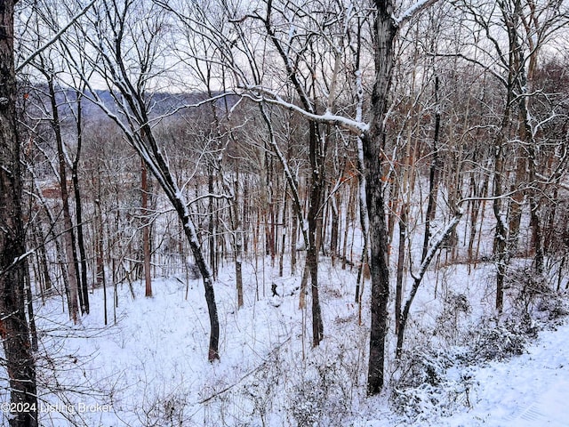 view of snow covered land