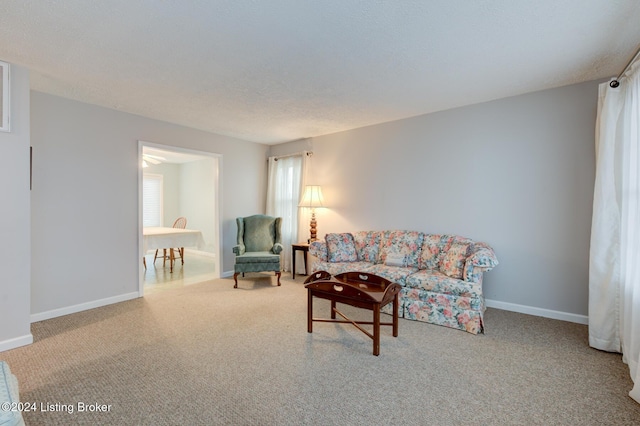 living room with a textured ceiling and a healthy amount of sunlight