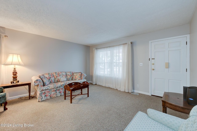 living room featuring carpet and a textured ceiling