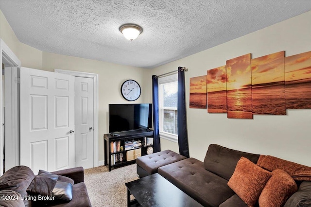 carpeted living room featuring a textured ceiling