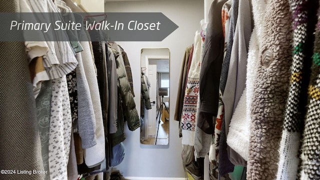 view of walk in closet