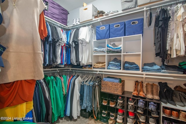 walk in closet featuring carpet flooring