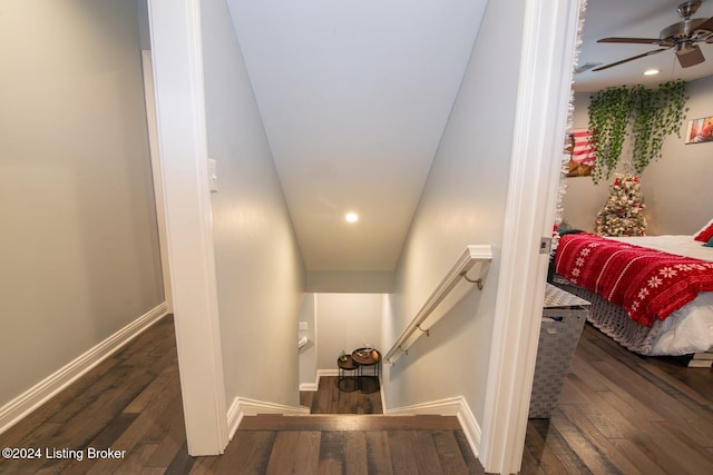 staircase with ceiling fan and wood-type flooring