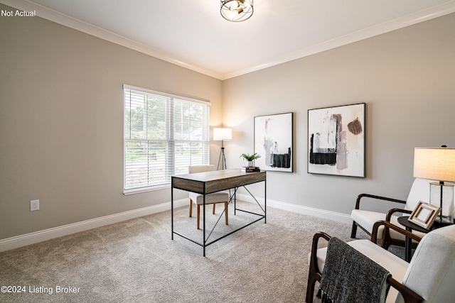 carpeted office featuring crown molding