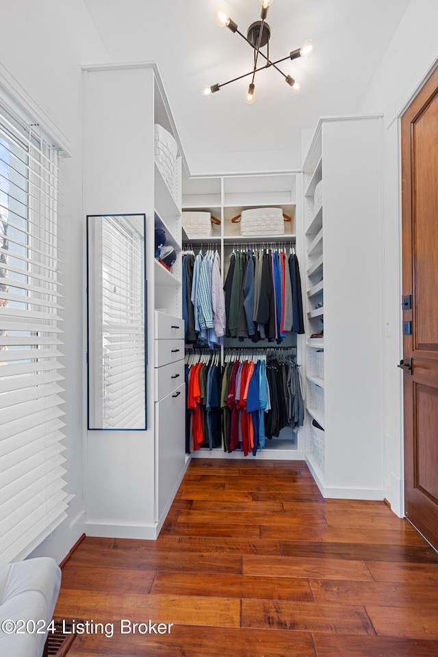 spacious closet with a chandelier and hardwood / wood-style flooring