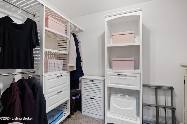 walk in closet with carpet floors