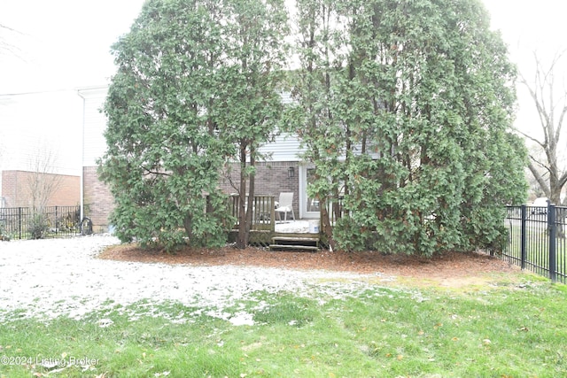 view of yard featuring a deck