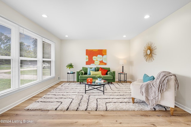 living room with light wood-type flooring