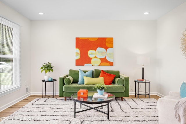 living room featuring light hardwood / wood-style floors