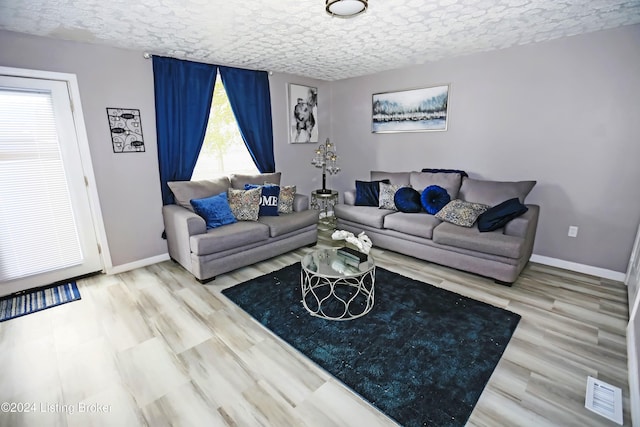 living room with a textured ceiling and hardwood / wood-style flooring