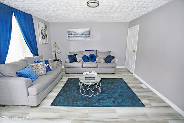 living room featuring wood-type flooring and a textured ceiling