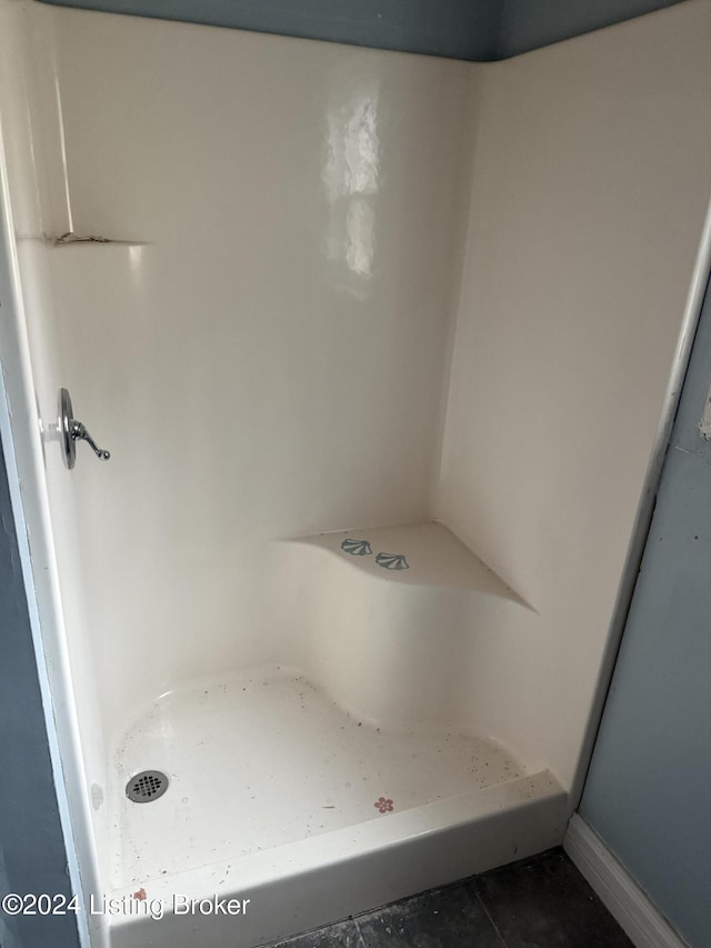 bathroom featuring tile patterned flooring and walk in shower