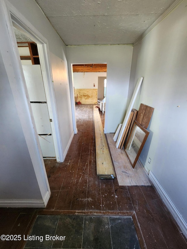 hall featuring dark wood-type flooring