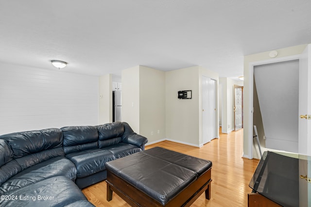 living room featuring light hardwood / wood-style flooring