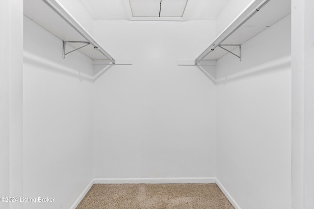 walk in closet featuring carpet flooring