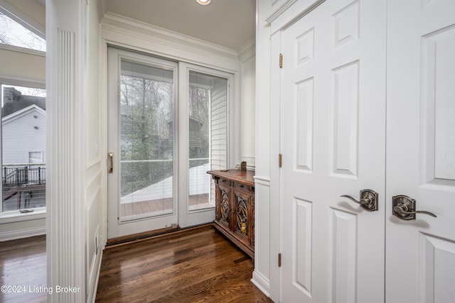 doorway to outside with dark hardwood / wood-style flooring, a wealth of natural light, and ornamental molding