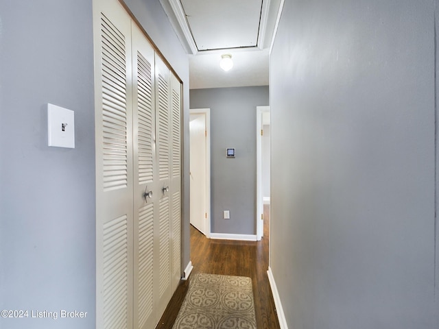 hallway featuring dark wood-type flooring