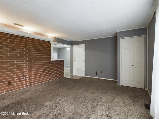 basement featuring carpet