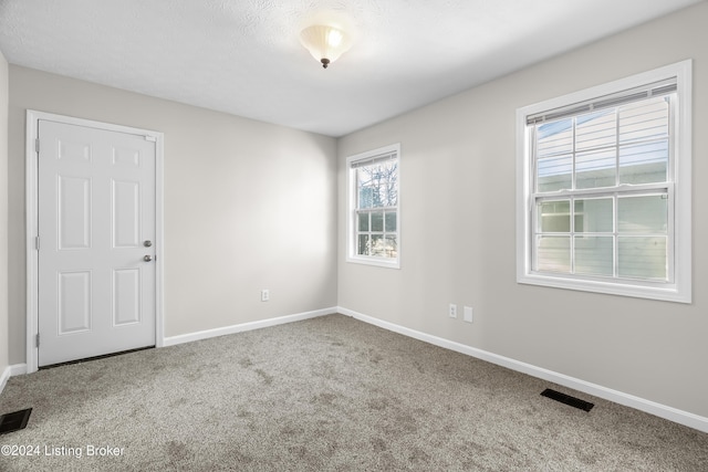 empty room with carpet flooring and a textured ceiling