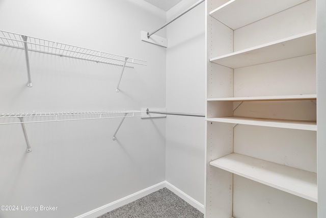 spacious closet featuring carpet floors