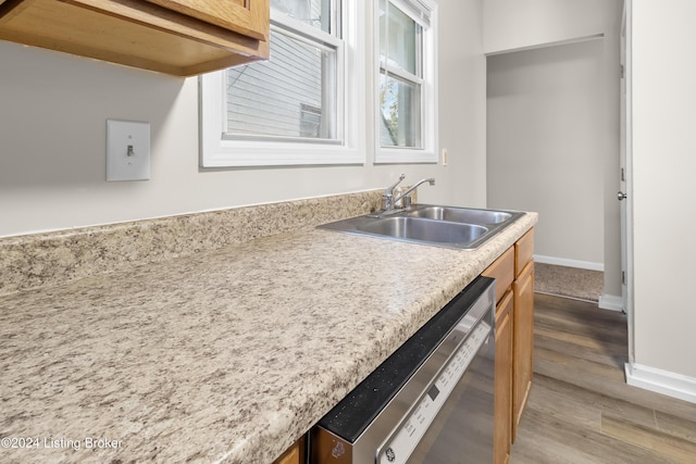 kitchen with stainless steel dishwasher, sink, and light hardwood / wood-style flooring