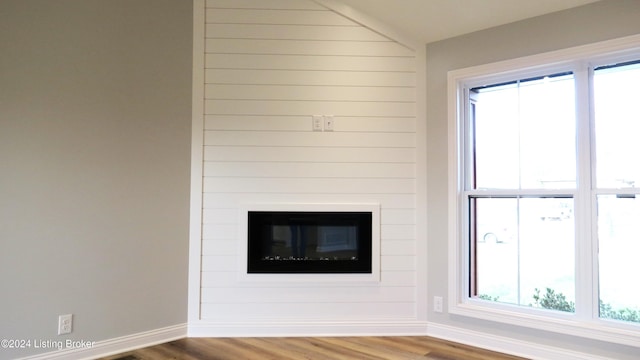 room details with hardwood / wood-style flooring