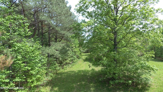 00 Eastview Rd, Eastview, KY 42732